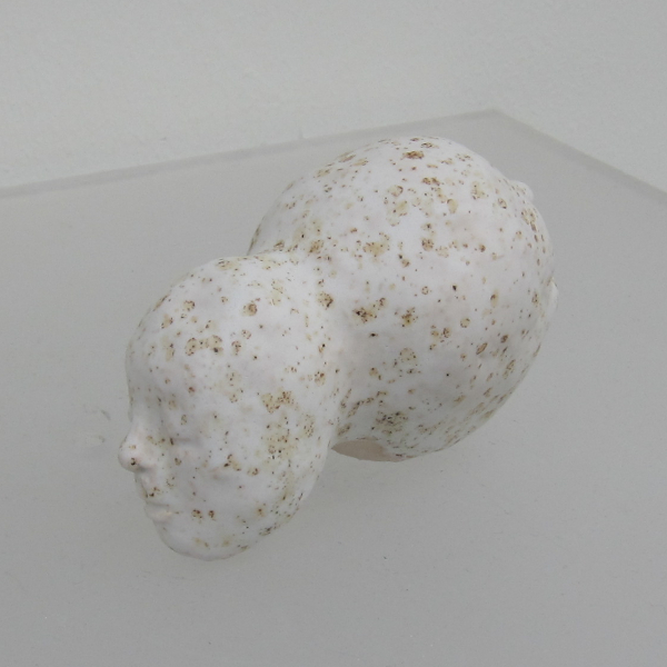 Janus (klein)